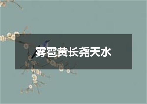 雾雹黄长尧天水