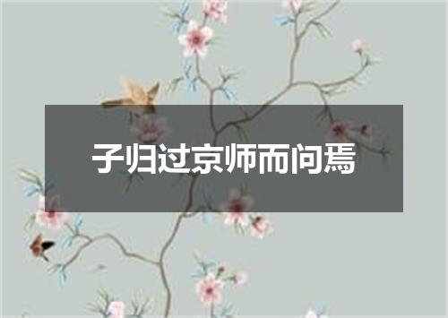 子归过京师而问焉