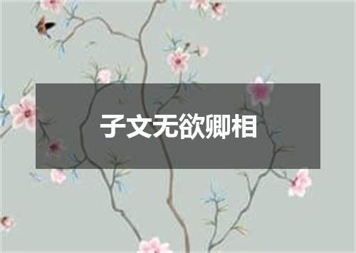 子文无欲卿相