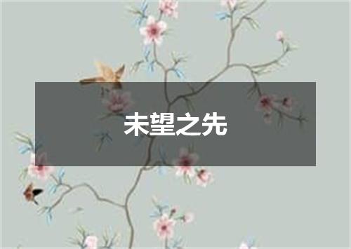 未望之先