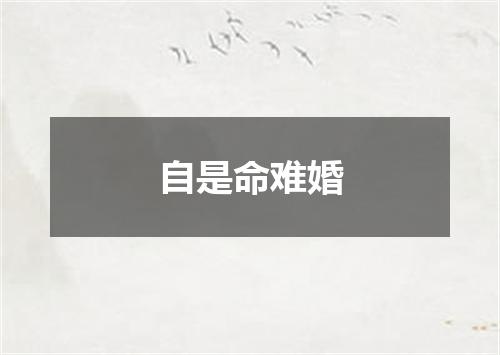 自是命难婚