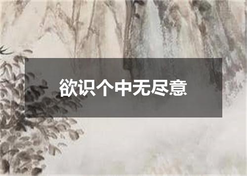 欲识个中无尽意