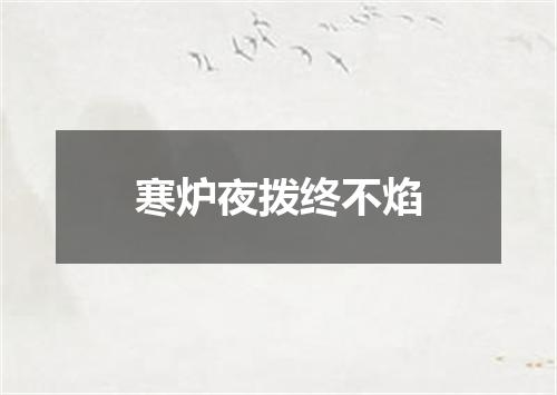寒炉夜拨终不焰