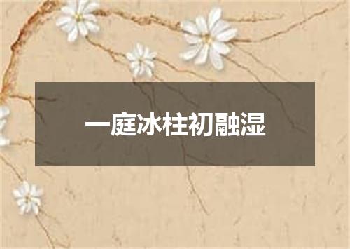 一庭冰柱初融湿