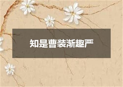 知是曹装渐趣严