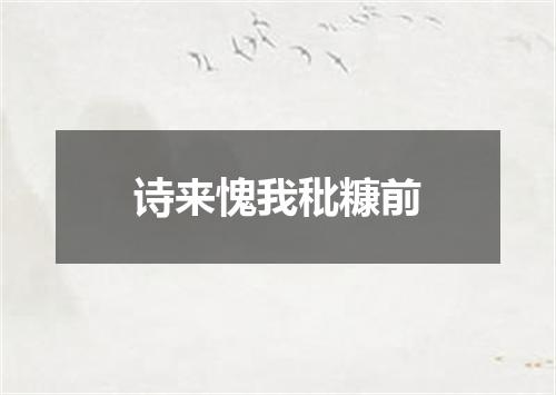 诗来愧我秕糠前