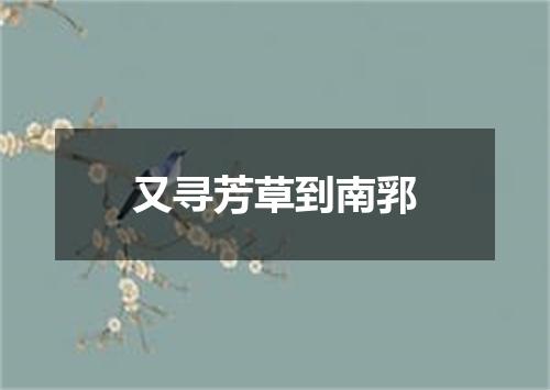 又寻芳草到南郛