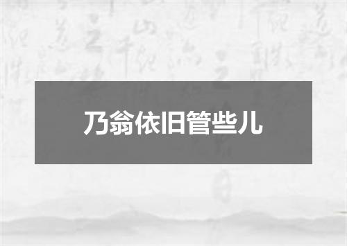 乃翁依旧管些儿