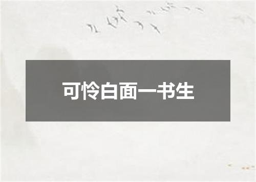 可怜白面一书生