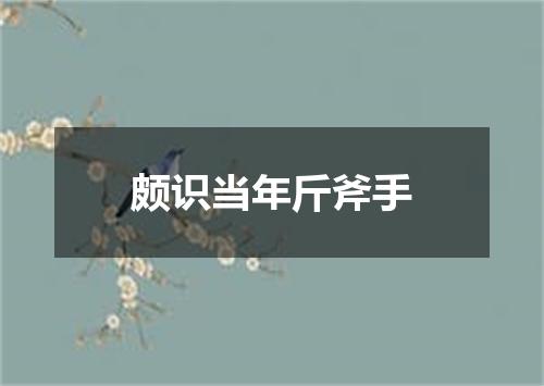 颇识当年斤斧手