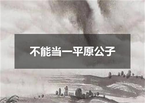 不能当一平原公子