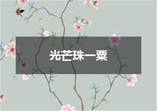 光芒珠一粟
