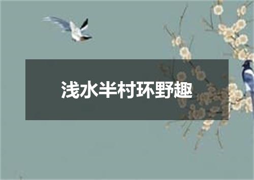 浅水半村环野趣