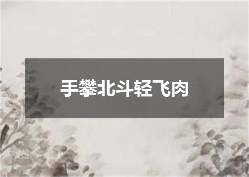 手攀北斗轻飞肉
