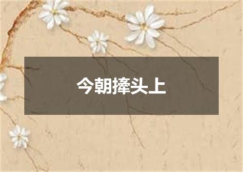 今朝撁头上