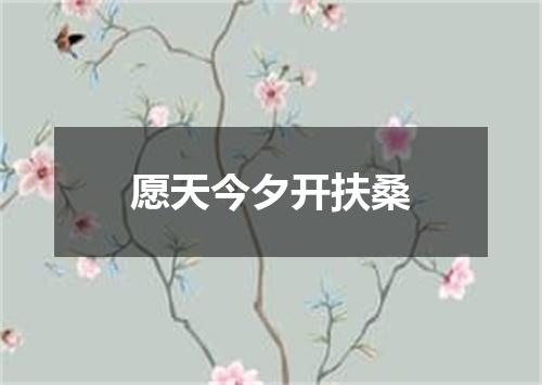 愿天今夕开扶桑