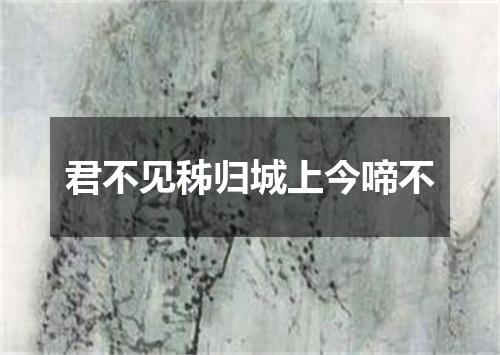 君不见秭归城上今啼不