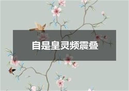 自是皇灵频震叠