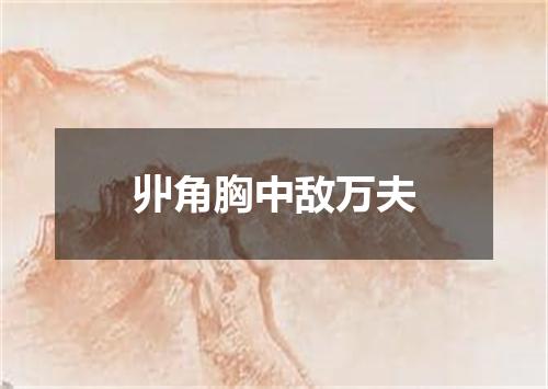 丱角胸中敌万夫