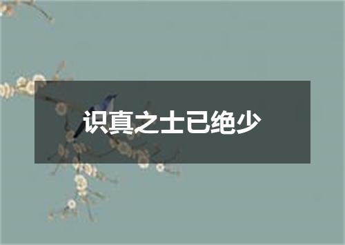 识真之士已绝少