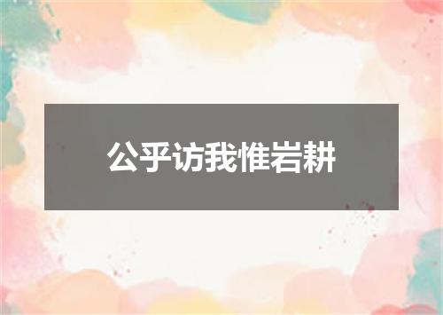 公乎访我惟岩耕