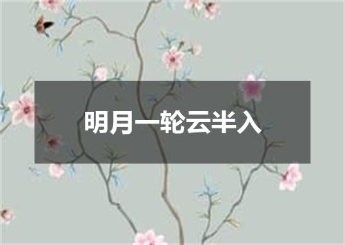 明月一轮云半入