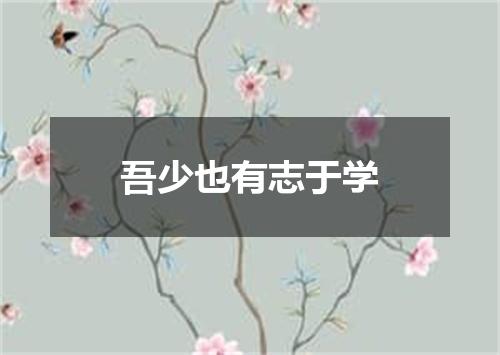 吾少也有志于学