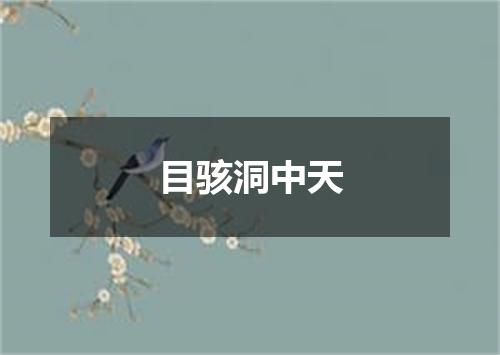 目骇洞中天