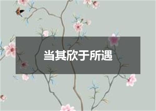 当其欣于所遇