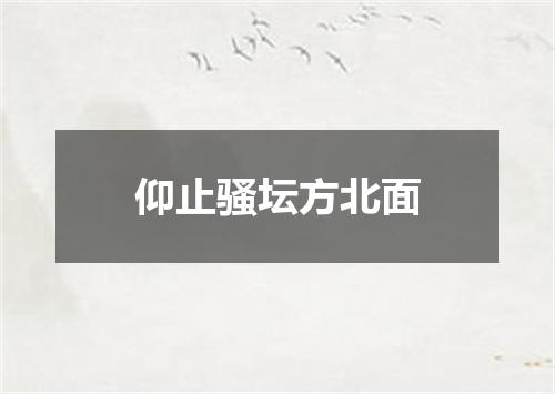 仰止骚坛方北面