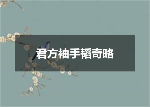 君方袖手韬奇略