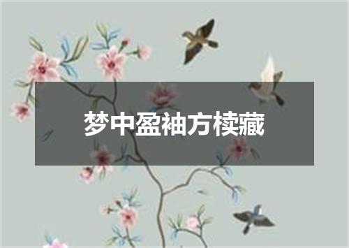 梦中盈袖方椟藏