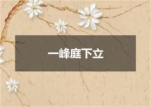 一峰庭下立