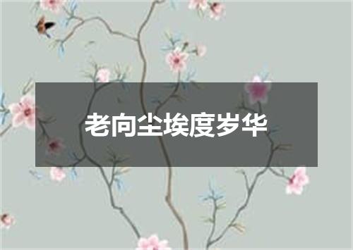 老向尘埃度岁华