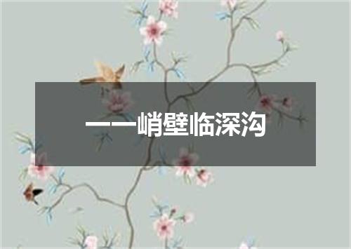 一一峭壁临深沟