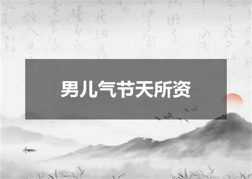 男儿气节天所资