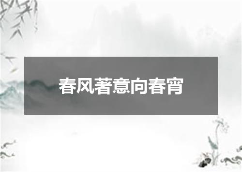 春风著意向春宵