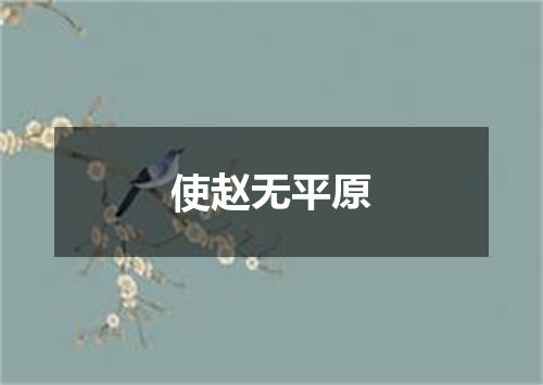 使赵无平原