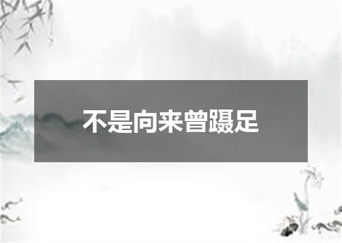不是向来曾蹑足
