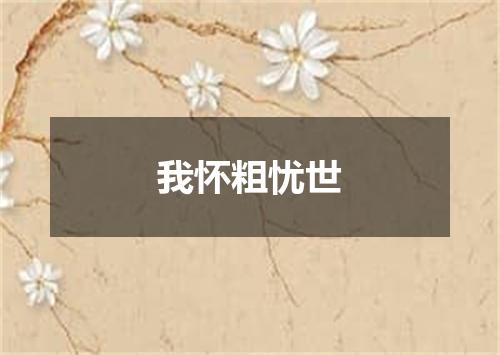 我怀粗忧世