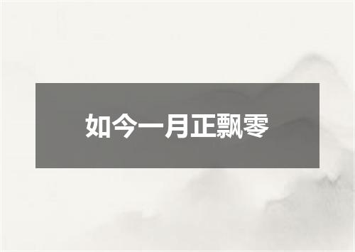 如今一月正飘零