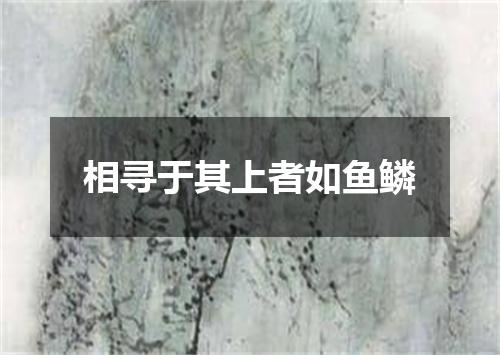 相寻于其上者如鱼鳞