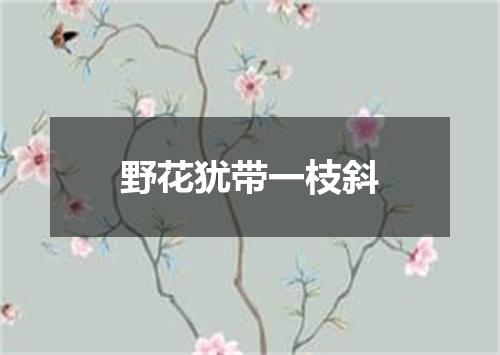 野花犹带一枝斜