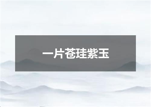 一片苍珪紫玉