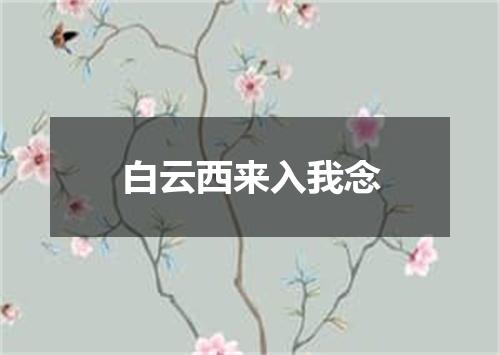 白云西来入我念