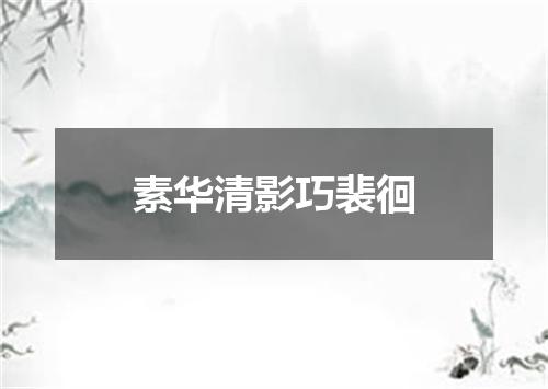 素华清影巧裴徊