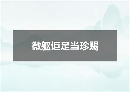 微躯讵足当珍赐