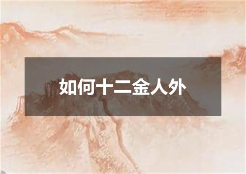 如何十二金人外