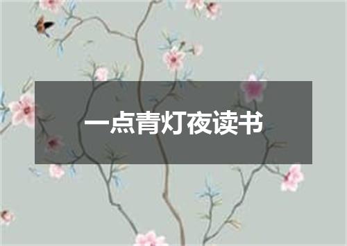 一点青灯夜读书