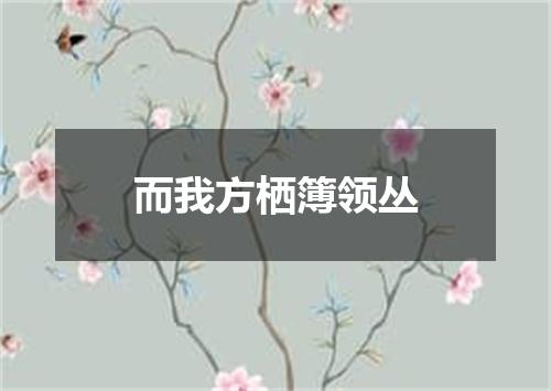 而我方栖簿领丛